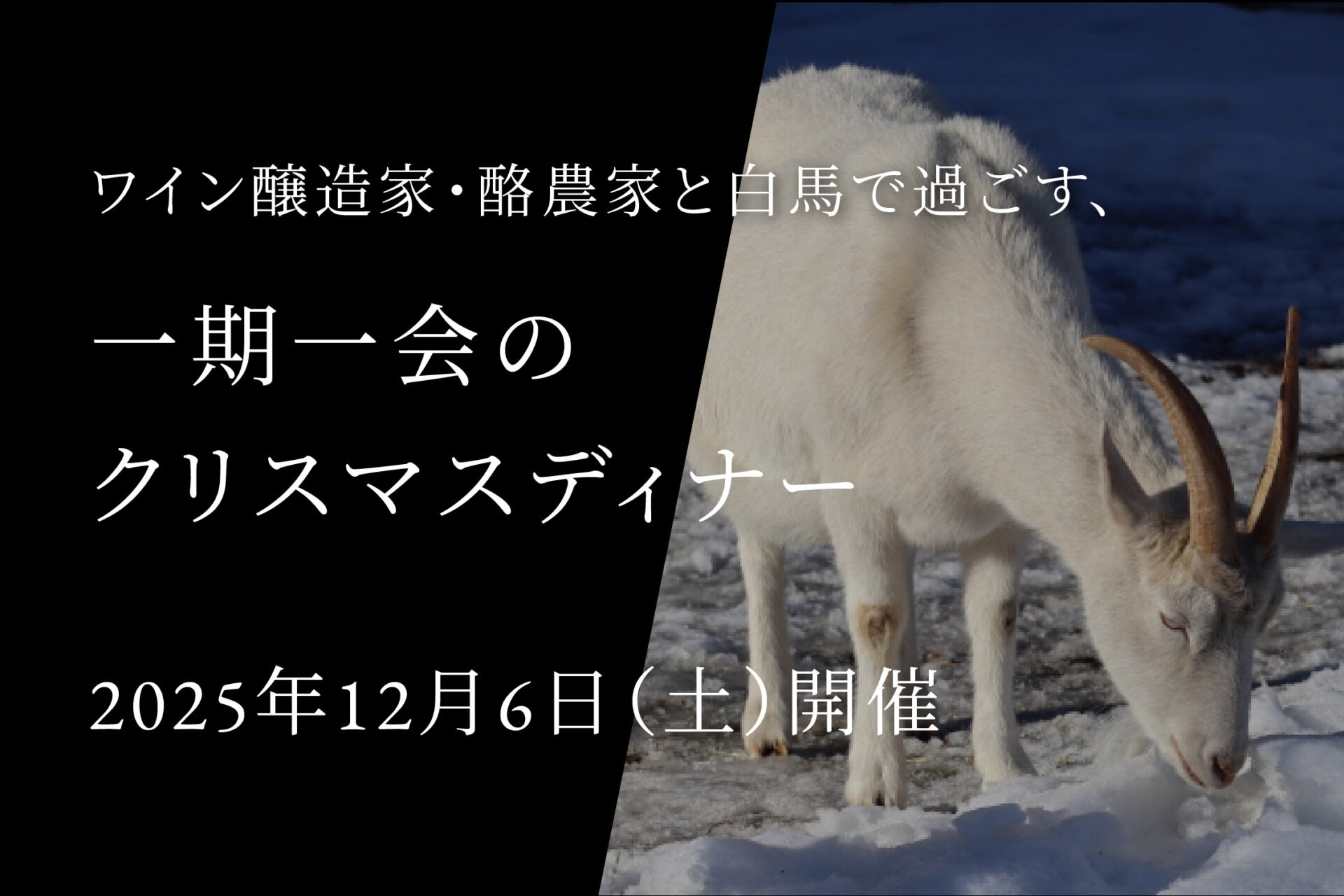 NEWSページ用_クリスマス 3-2 ②