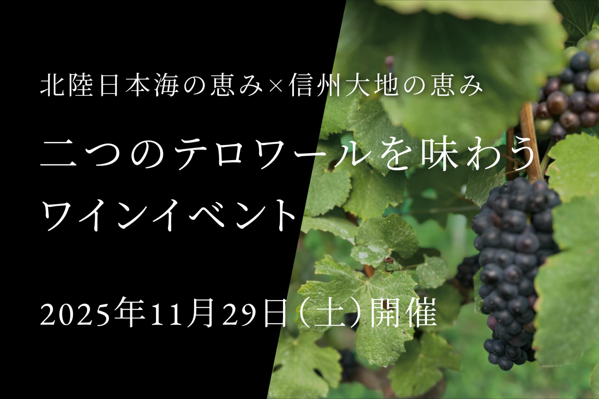 NEWSページ用_ワインイベント 3-2 ②