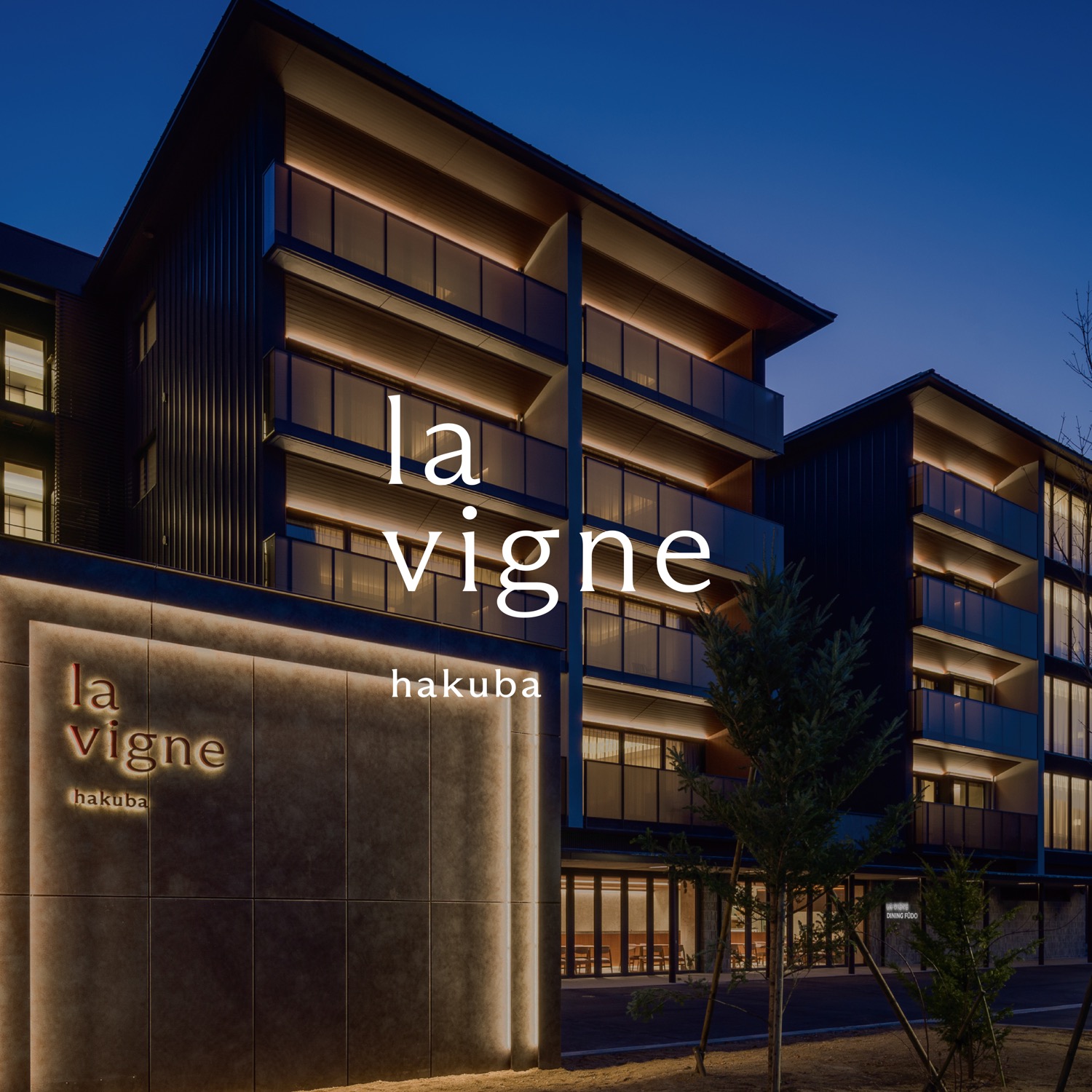 Lavigne Kv