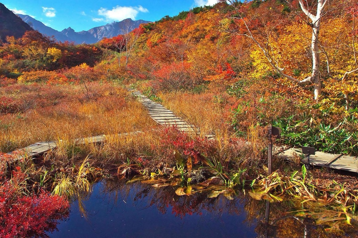 地蔵沼の紅葉のコピー 1